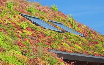 Aykley Heads living roof systems